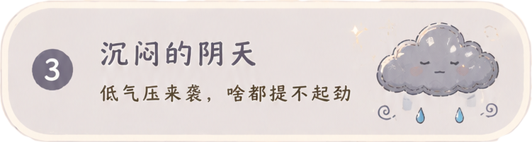 选项3